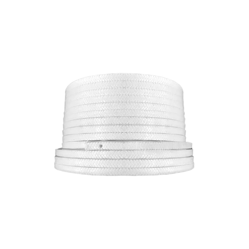 PTFE Packing Seal Ring